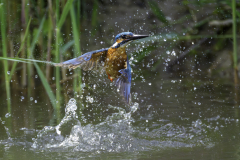 Dusche_