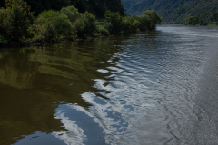 Flusskreuzfahrt-Rhein-Mosel-2024-05